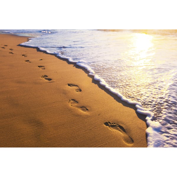 Footsteps Wall Mural