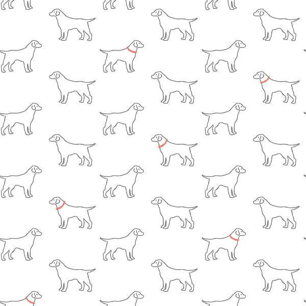 Yoop Dog Wallpaper