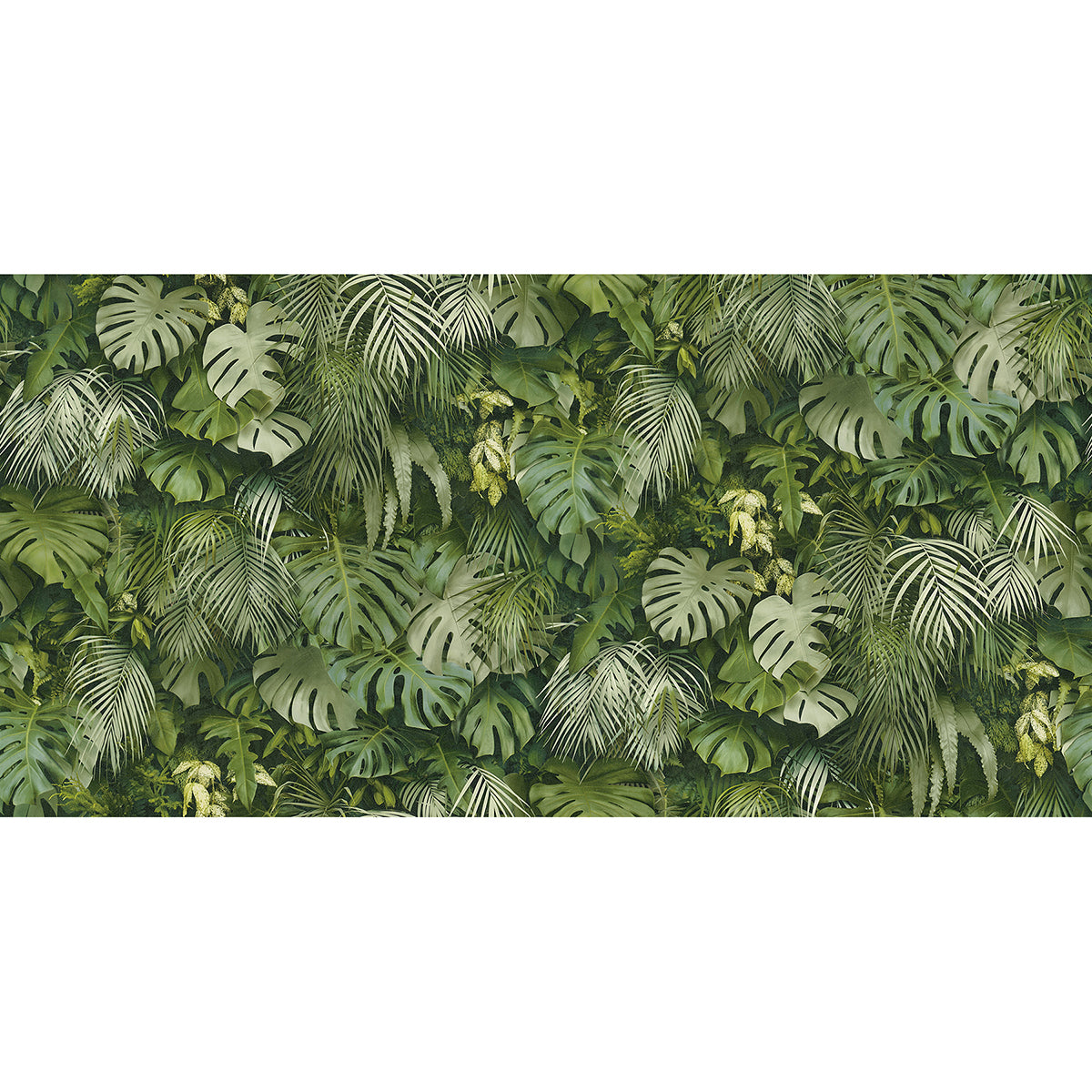 Luana Tropical Forest Wallpaper