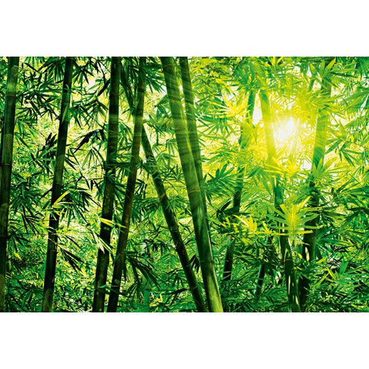 Bamboo Forest