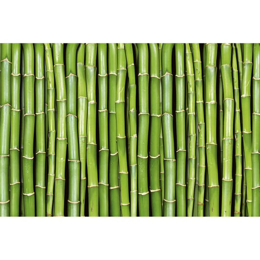 Bamboo Wall Mural