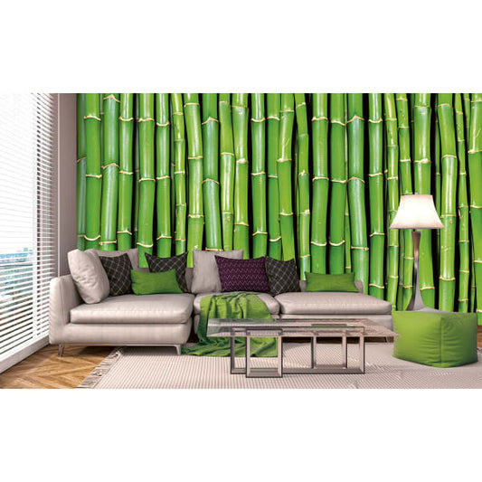 Bamboo Wall Mural