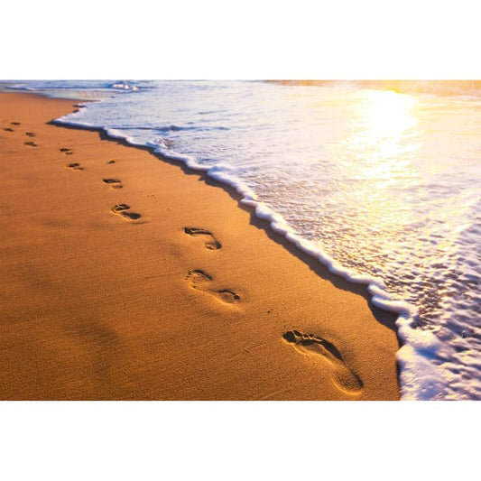 Footsteps Wall Mural